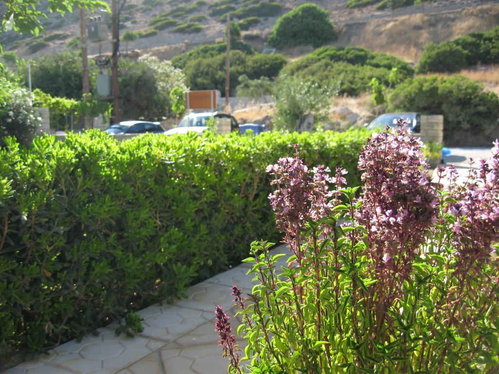 "Villa Kanavos" Apts Matala  Bilik gambar